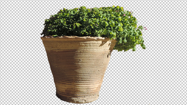 عکس گلدان – Picture Flower pot