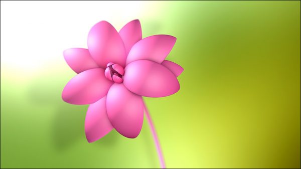 آموزش فارسی مدلسازی گل در نرم افزار Cinema 4d