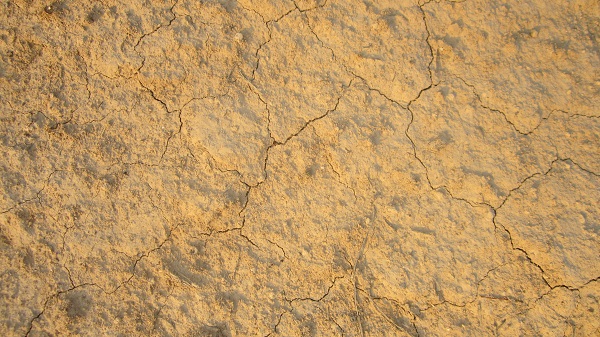 تکسچر دیوار خشتی