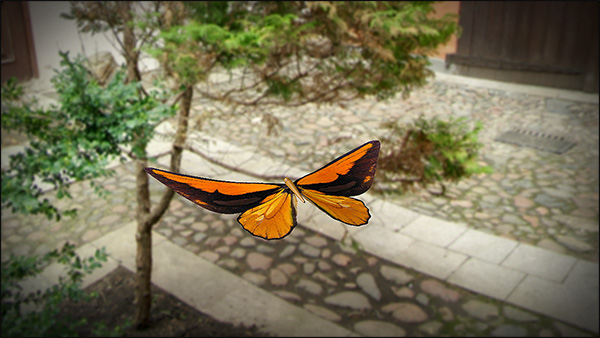 369-آموزش انیمیت سه بعدی بال های پروانه در Cinema 4d و افتر افکت