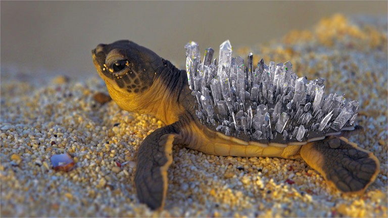 426-آموزش ساخت کریستال برای بدن لاکپشت Mograph در Cinema 4d