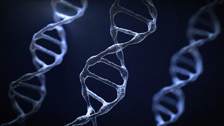 453-آموزش ساخت DNA انسان در Cinema 4d و After Effects