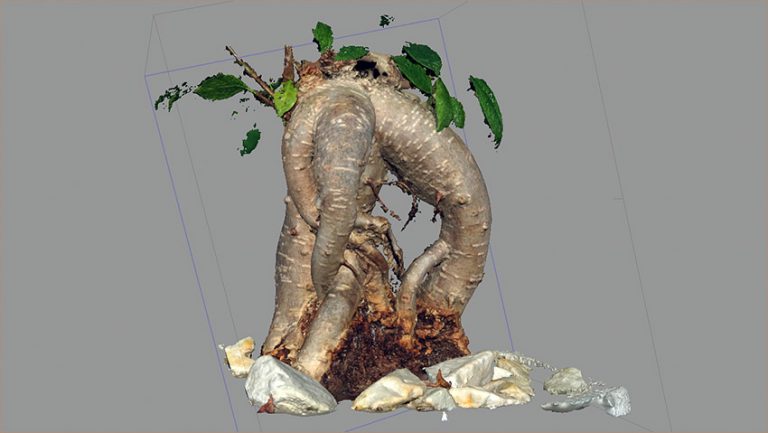 460-فصل سوم آموزش ساخت و اسکن مدل: مدلسازی سه بعدی درخت