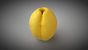 دانلود مدل سه بعدی میوه زردآلو
