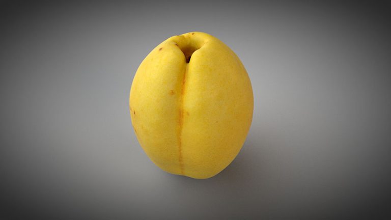 دانلود مدل سه بعدی میوه زردآلو