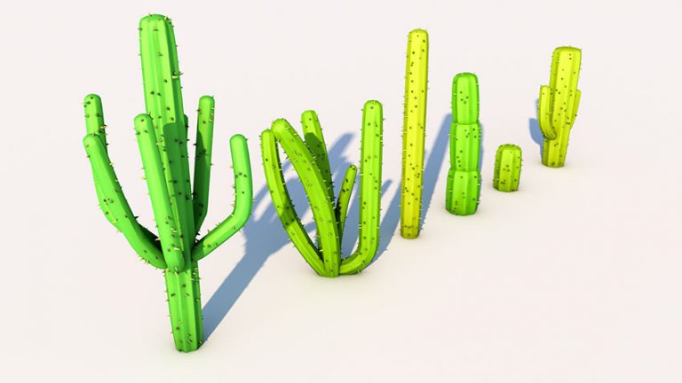 دانلود مدل سه بعدی درخت های کاکتوس
