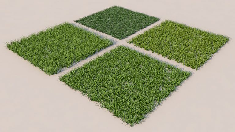 دانلود مدل سه بعدی چمن های مختلف