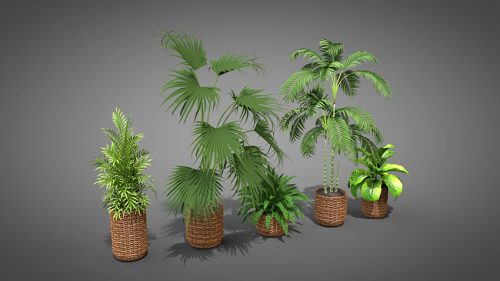 دانلود مدل سه بعدی گیاهان