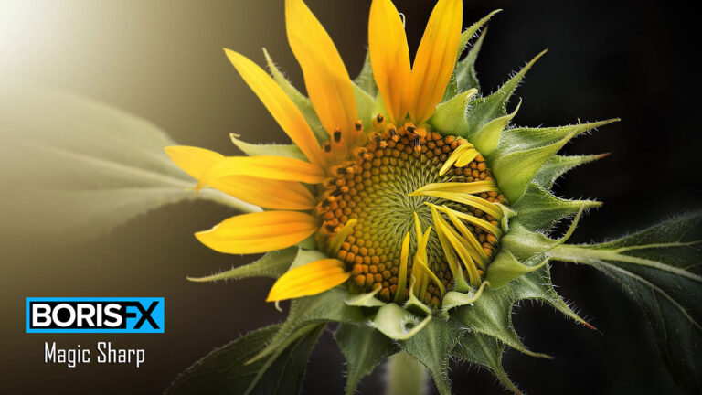 پلاگین جادویی BCC Magic Sharp برای افزایش کیفیت ویدیو
